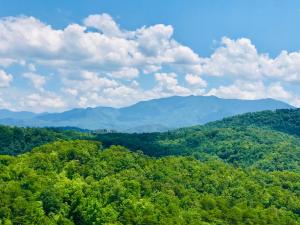 an aerial view of a forest with mountains in the background at A Higher Calling, 1089 of FREE area attraction tickets for each paid day, Dollywood and More! in Pigeon Forge