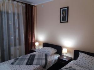 a bedroom with two beds and two lamps on tables at PENSIUNEA CIREȘUL ALB in Tulcea