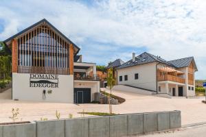 a modern house with a large building at Domaine Edegger - Organic Winery Badacsony in Badacsonytomaj