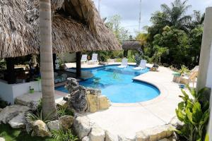 een zwembad met stoelen en een resort bij The GECKO BUNGALOW**Beautiful POOL**Free Airport Shuttle in Belize City