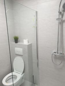 Gallery image of Apartament pod Sosnami 2 noclegi OTW Borówno WLK Skarszewy in Skarszewy