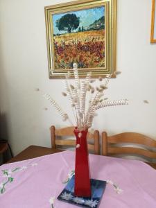 Fotografie z fotogalerie ubytování Nada SeaView Apartment v destinaci Shëngjin