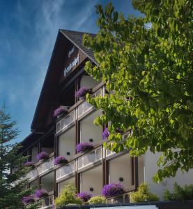 een gebouw met paarse bloemen op de ramen bij Landhotel Henkenhof Willingen in Willingen