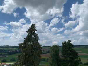dos árboles en un campo bajo un cielo nublado en Hôtel Lion d'Or Romont, en Romont