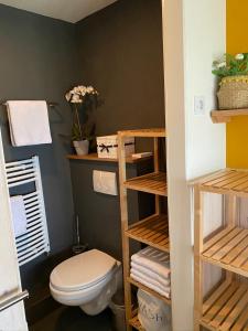 a bathroom with a toilet and wooden shelves at Appartement Bos en Duin in Vogelenzang
