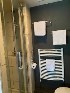 a bathroom with a shower and towels on a wall at Appartement Bos en Duin in Vogelenzang +15 photos