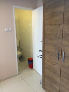 a bathroom with a toilet and a wooden door at Pensjonat ''TRYTON'' in Karwia