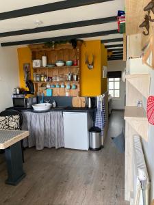 a kitchen with a table and a counter top at Appartement Bos en Duin in Vogelenzang