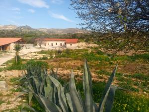 a view of a field with a house in the background at Agriturismo PALMERI in Avola