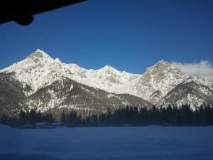 a snow covered mountain range with trees in the foreground at Ferienwohnungen Panoramablick in Sankt Ulrich am Pillersee