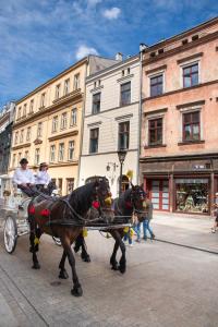 twee paarden die een koets trekken in een stadsstraat bij Let's Rock Party Hostel in Krakau