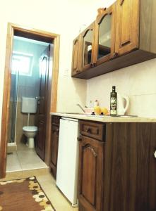 a small kitchen with a sink and a toilet at Apartments Djakonovic in Ulcinj