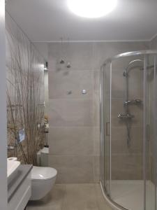 Łazienka w obiekcie Apartament FALA-Miodowy Dom