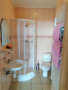 a bathroom with a shower and a sink and a toilet at Bakster in Władysławowo