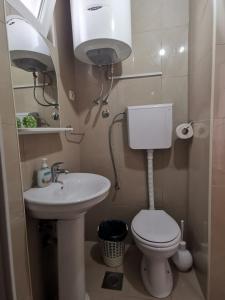 un piccolo bagno con servizi igienici e lavandino di Apartments Coso Zlatne njive bb a Kotor (Cattaro)