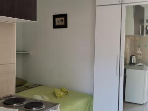 una piccola cucina con piano cottura e frigorifero di Apartments Coso Zlatne njive bb a Kotor (Cattaro)