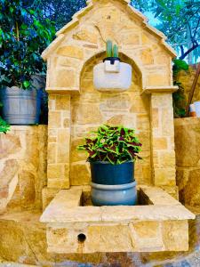Ein Garten an der Unterkunft Apartments Tina FREE transfer from-to the airport