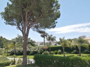 un parc avec des palmiers et des buissons dans l'établissement Victory Village 16F, à Quinta do Lago