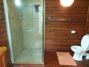 ein Bad mit einer Dusche und einem WC in der Unterkunft East Africa Safaris in Chizavane