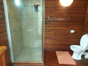 a bathroom with a shower and a toilet at East Africa Safaris in Chizavane