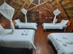 um quarto com três camas com gatos em East Africa Safaris em Chizavane