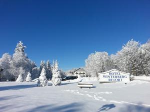 Hotel Winterberg Resort durante l'inverno