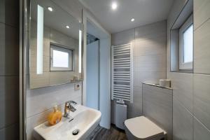 a bathroom with a sink and a toilet and a mirror at Haus Windhook in Dierhagen