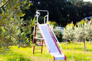 a slide in the grass in a park at Agriturismo Monteroseo in bedizzol