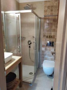 a bathroom with a shower and a toilet and a sink at Villa Arktos in Nydri