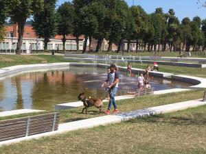 een man die een hond uitlaat voor een fontein bij Villa Domus XIX in Tongeren