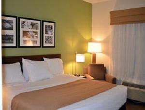 Postel nebo postele na pokoji v ubytování PetroStay Inn & Suites Cotulla