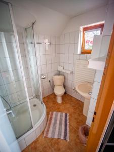 ノバー・レスナーにあるApartmány Tatry EURO-CRVのバスルーム(シャワー、トイレ、シンク付)