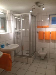 a bathroom with a shower and a sink and a toilet at Sions große Ferienwohnung beim Europapark Rust in Kappel-Grafenhausen