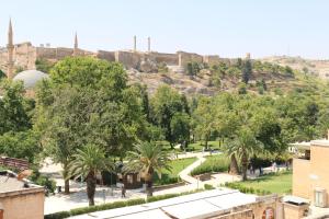 vistas a un parque con árboles y una mezquita en ÂLÂ HAN BOUTIQUE HOTEL, en Sanlıurfa