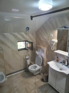 een badkamer met een toilet, een wastafel en een douche bij Casa Brâncușiana in Târgu Jiu