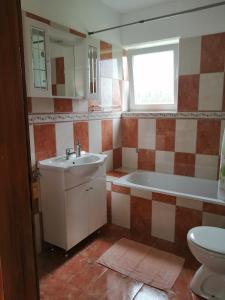 a bathroom with a sink and a tub and a toilet at Apartments Jure in Smoljanac