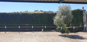 Fotografia z galérie ubytovania Casa Rural Huerta Vallejo v destinácii Ronda