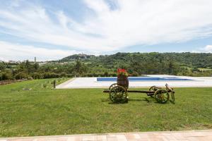 a bench with a flower pot on top of a field at Niki in Labin