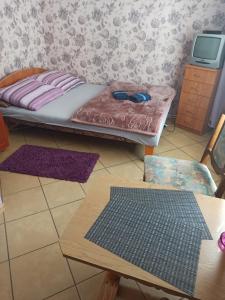 a room with a bed and a table and a tv at El Jan Pobierowo in Pobierowo