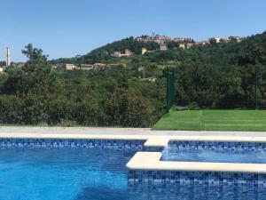 a swimming pool with a hill in the background at Niki in Labin