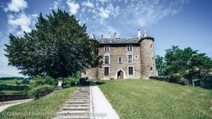 un vieux château sur une colline herbeuse avec un arbre dans l'établissement Suite Prestige Château Uriage - Escapade romantique, à Saint-Martin-dʼUriage