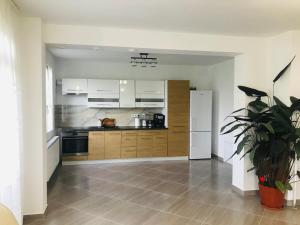 a kitchen with white appliances and a potted plant at Agropensiunea Duminora in Lăschia