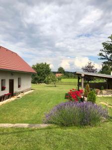 um quintal com uma casa e um jardim com flores em Old Style Cottage em Horní Paseka