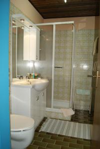 ein Bad mit einem WC, einem Waschbecken und einer Dusche in der Unterkunft Landhaus Meran in Rauris