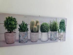 Fotografie z fotogalerie ubytování "CASA ROSI" Tel trequattrozero trentatre tredici seiquattrouno v destinaci Umbertide