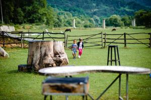 two children walking in a field near a tree stump at Pensiunea Trei Ponei in Corbeni