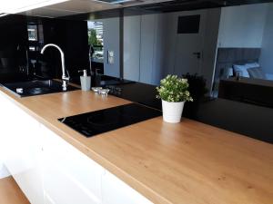 a kitchen counter with a sink and a plant on it at Vista Residence Premium in Warsaw