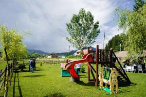 a playground with a slide in the grass at Pensiunea Trei Ponei in Corbeni