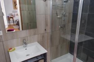 ein Bad mit einer Dusche, einem Waschbecken und einem Spiegel in der Unterkunft Le Madrigal in Mamers