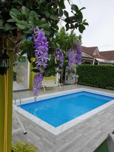 Bazén v ubytování Little home poolvilla nebo v jeho okolí
